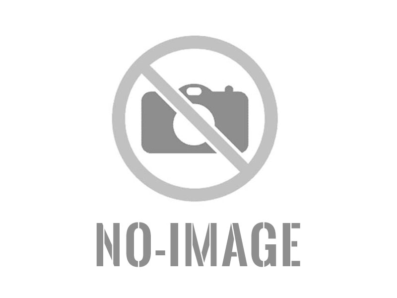 الكرامة الإنسانية بين مصطفى وهبي التل ووالت ويتمان